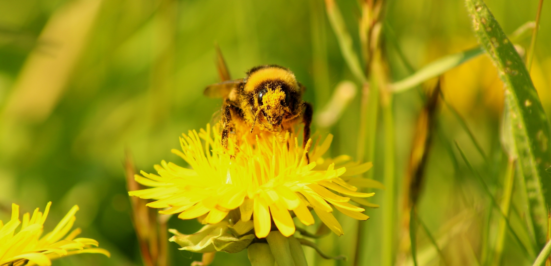 Headerbild der Gemeinde Bessenbach