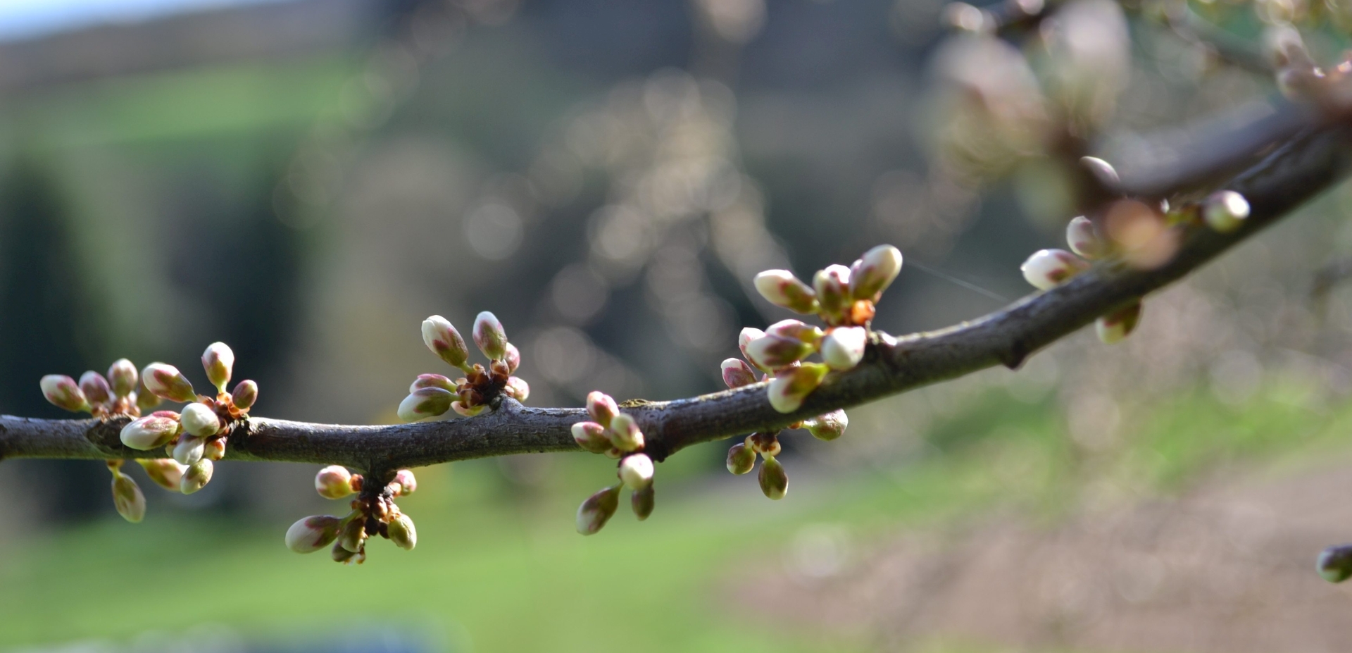 Headerbild der Gemeinde Bessenbach