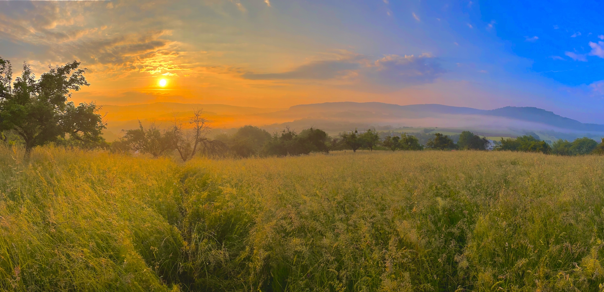 Headerbild der Gemeinde Bessenbach
