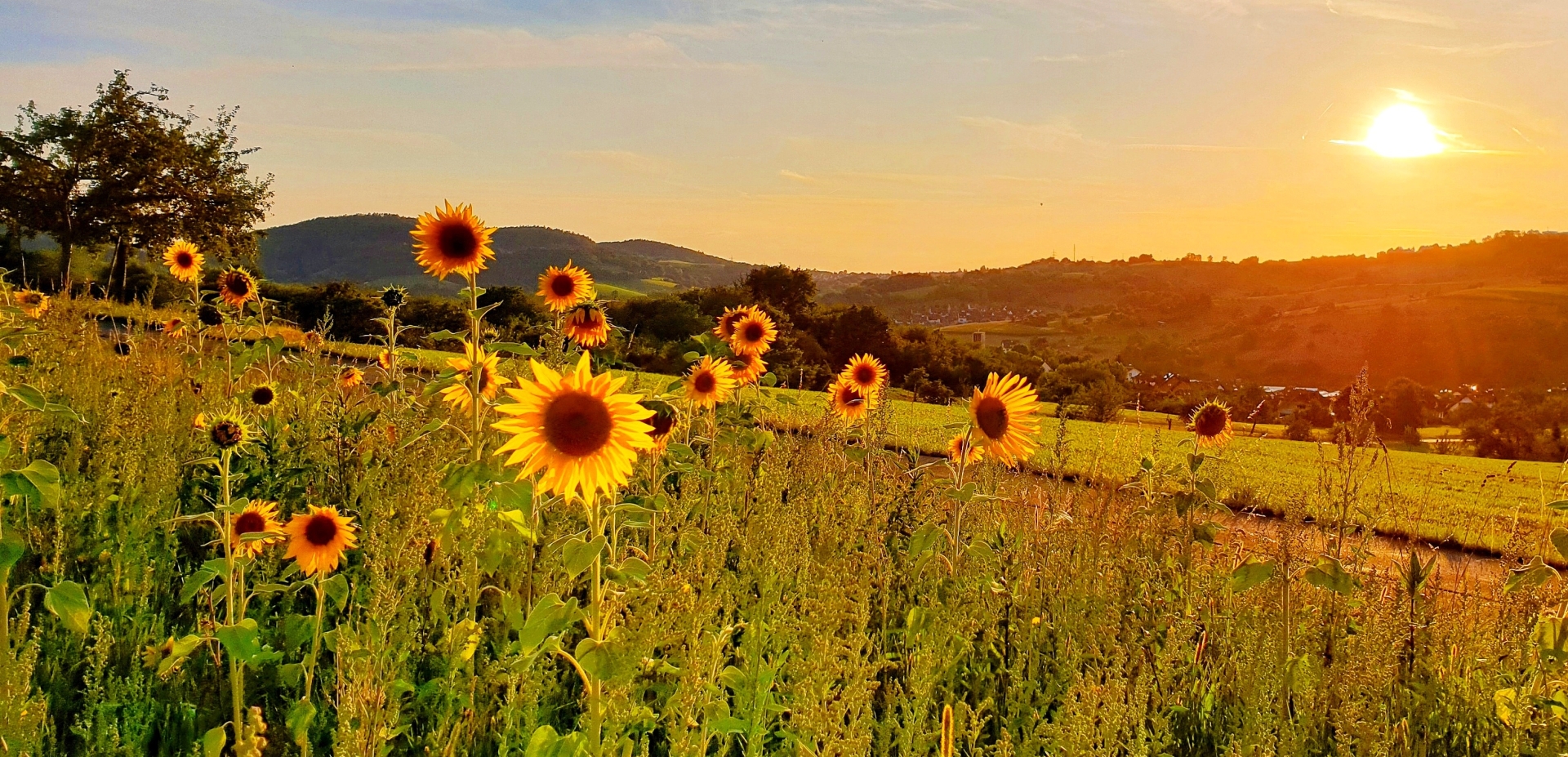 Headerbild der Gemeinde Bessenbach