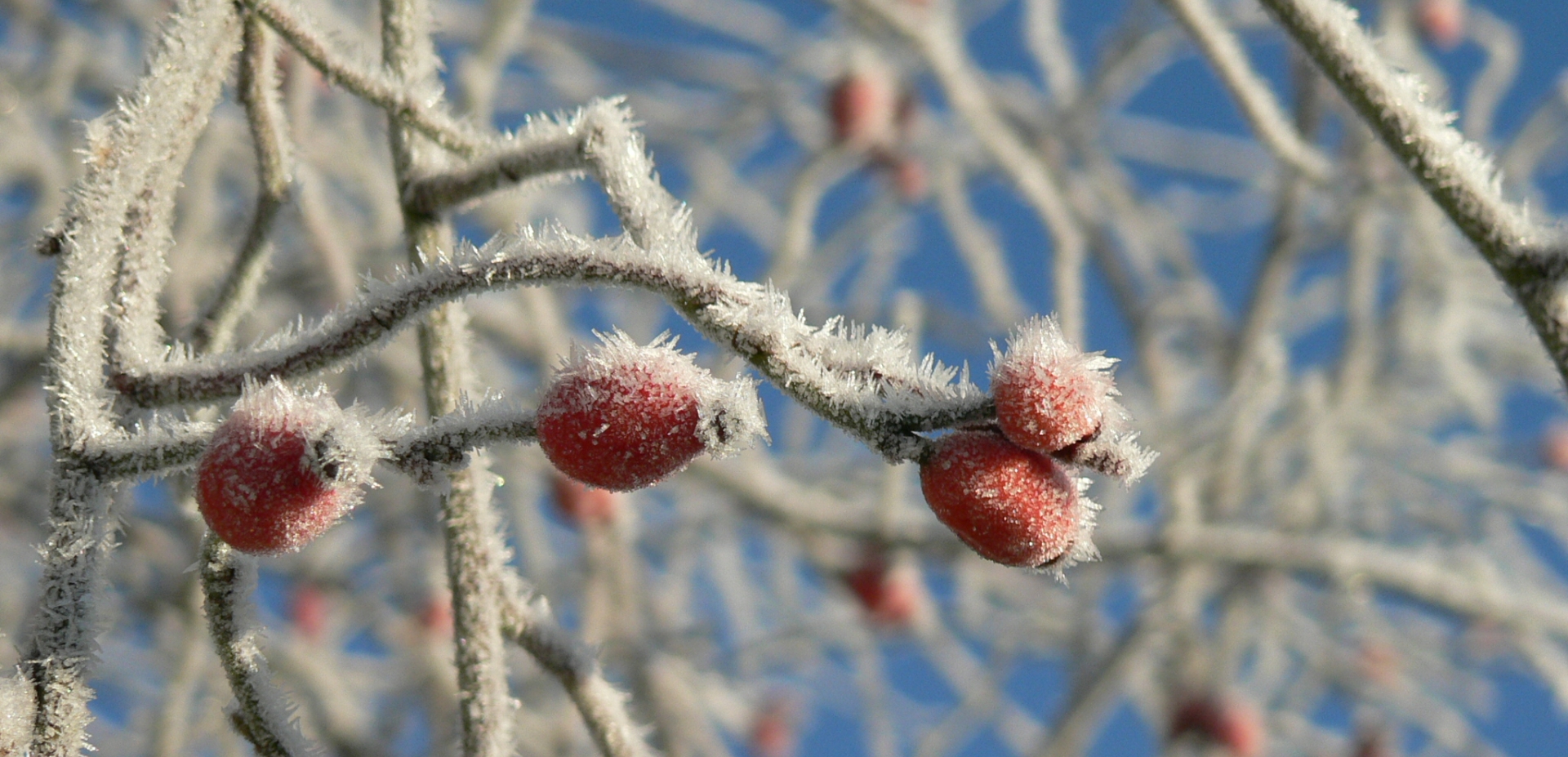 Headerbild der Gemeinde Bessenbach