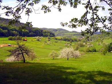 Blick über das Bremental