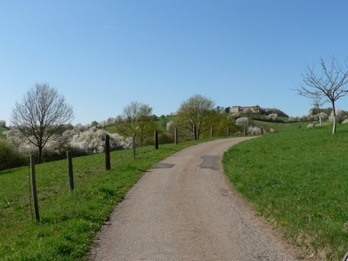 Ruhiger Wirtschaftsweg zum Landhotel Klingerhof